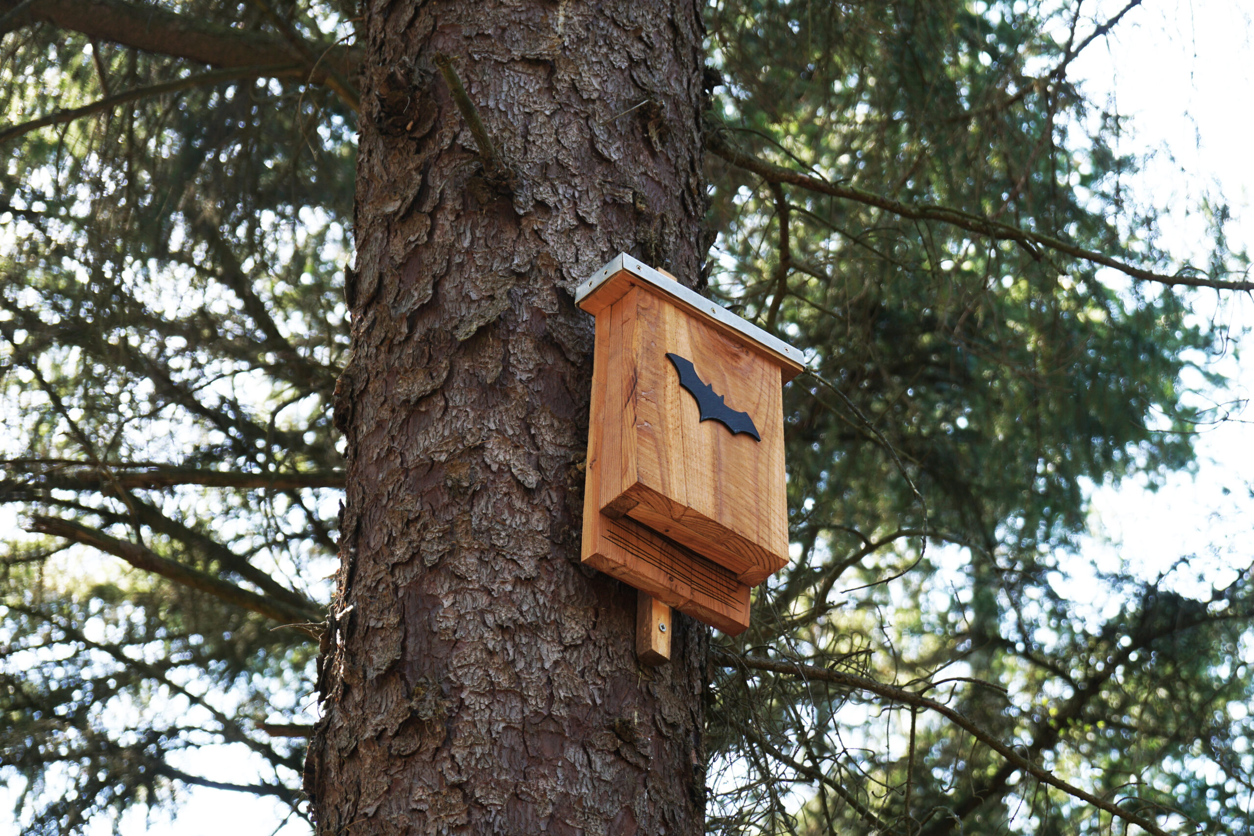 image of bat house in Tampa Bay