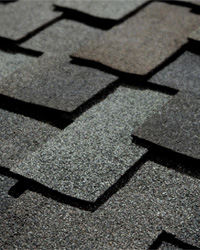 Luxury Shingles