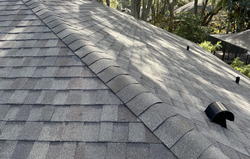 image of Brandon Roofing Tampa roofing company