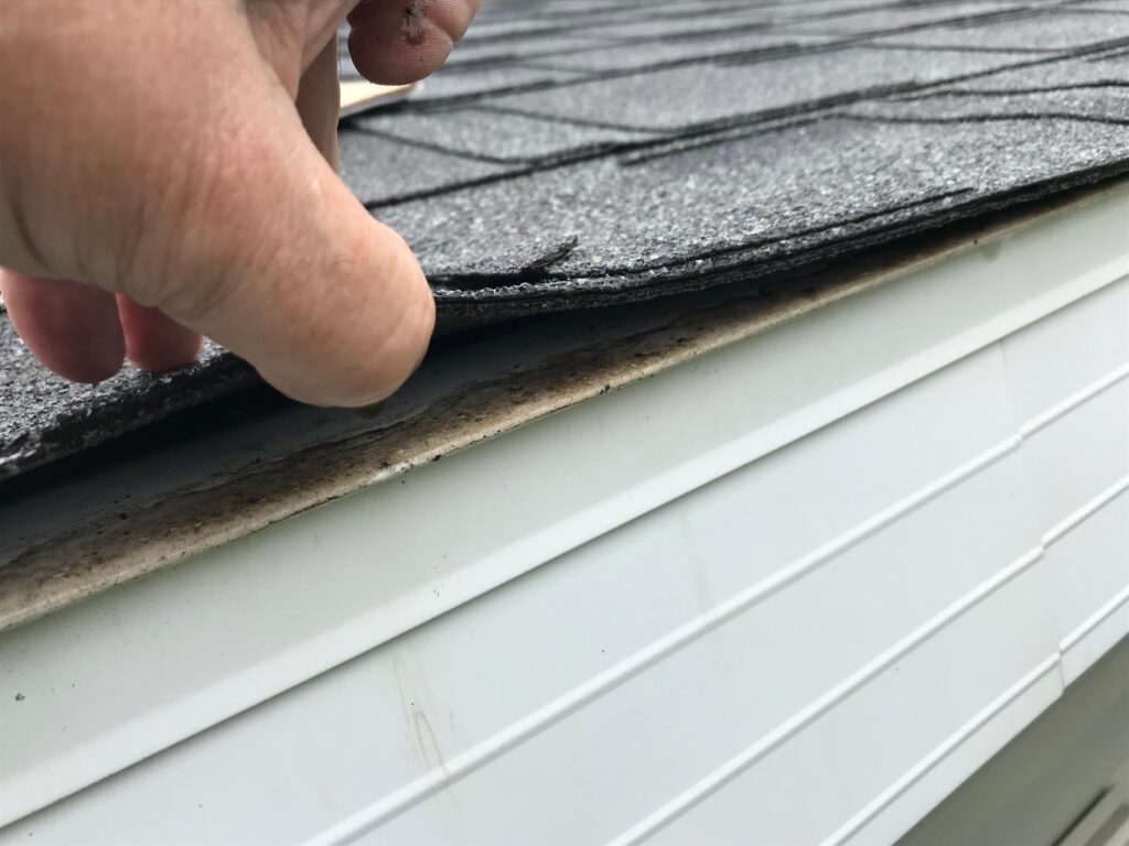 Image of roof being inspected