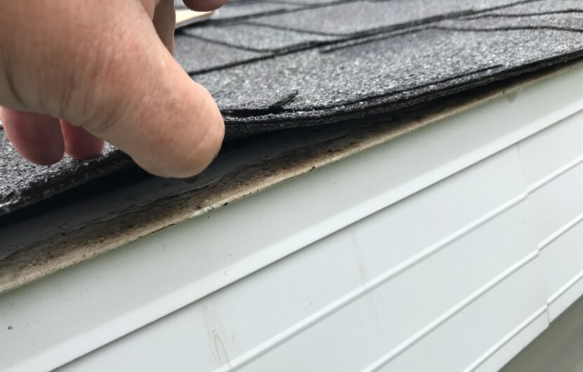 Image of roof being inspected