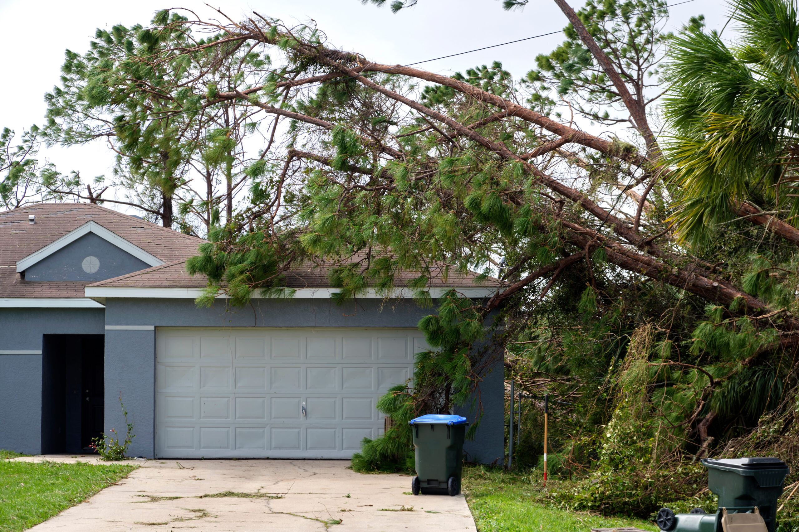 image of Best Roofing Materials for wind