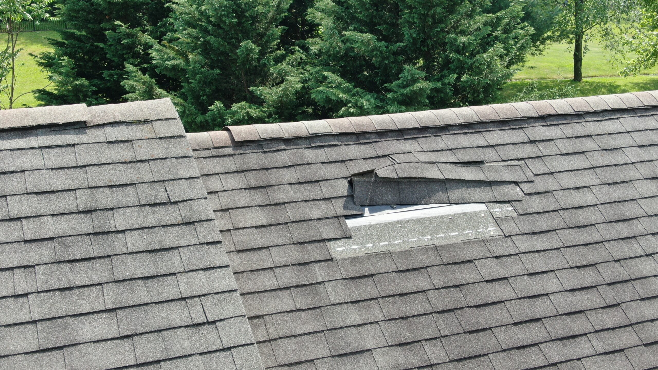 image of damaged asphalt roof shingles