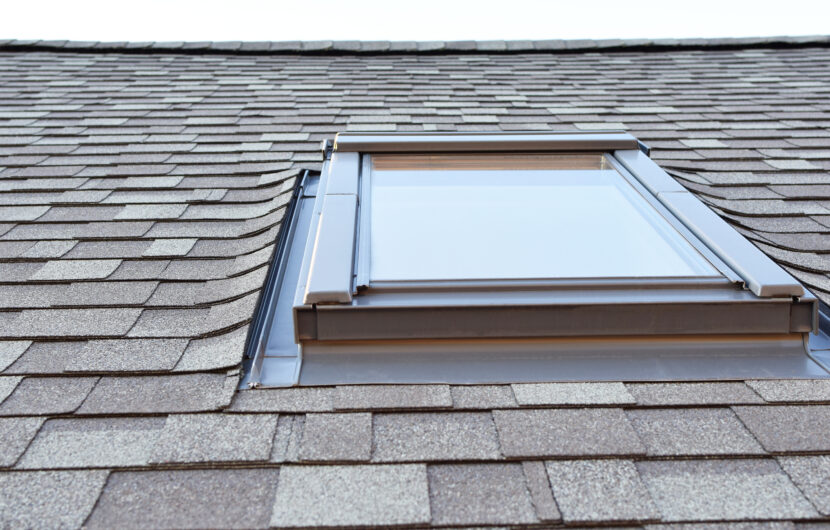 image of skylight on Florida roof