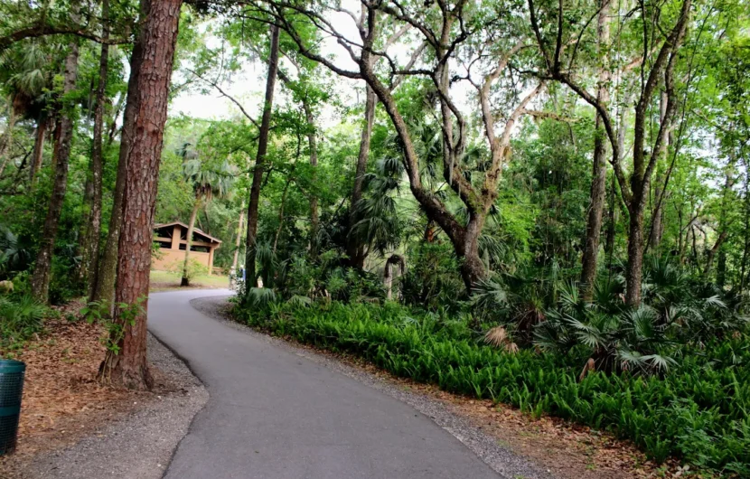 image of lutz florida roofer