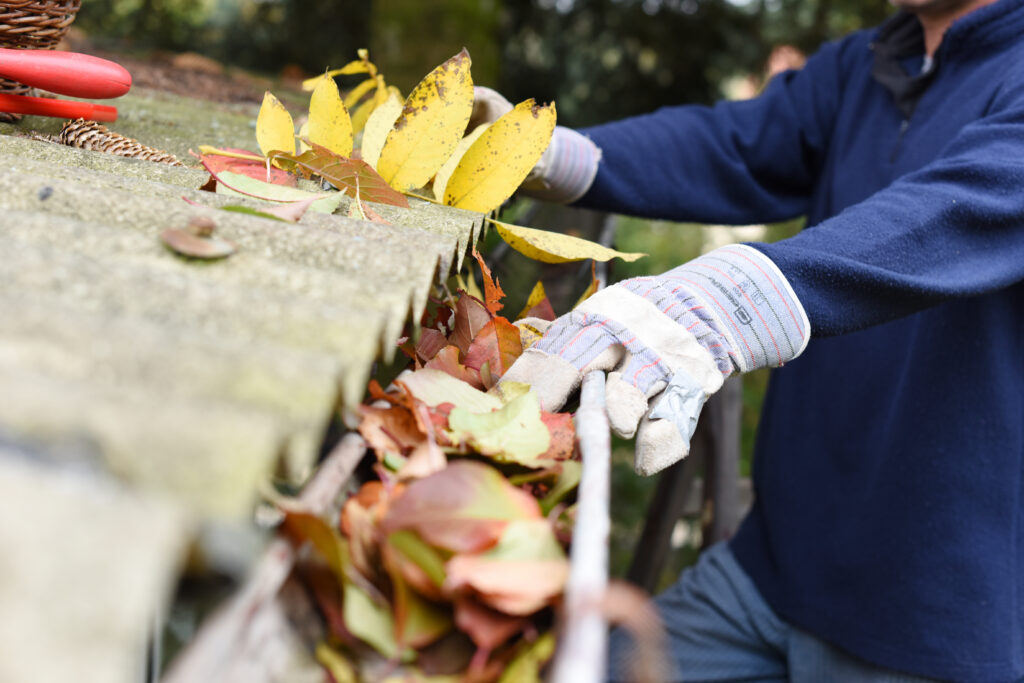 image of gutter full of leaves