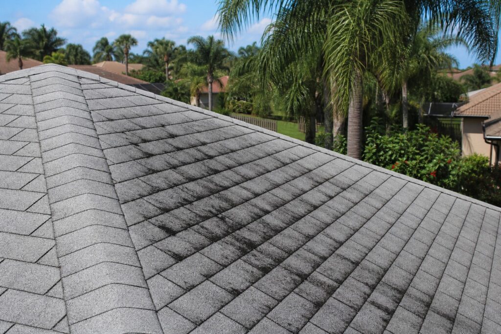 Dark algae streaks on asphalt shingle roof in Tampa Bay Florida neighborhood