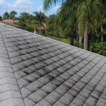 Dark algae streaks on asphalt shingle roof in Tampa Bay Florida neighborhood